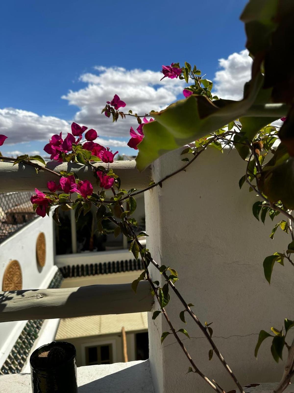 Bacha Beldi Ferienhaus Marrakesch
